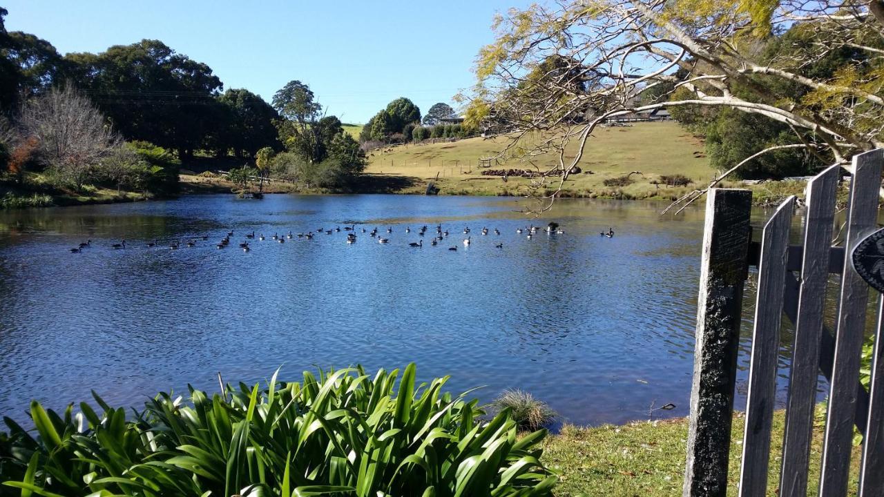 Maleny Homestead & Cottage Exterior foto